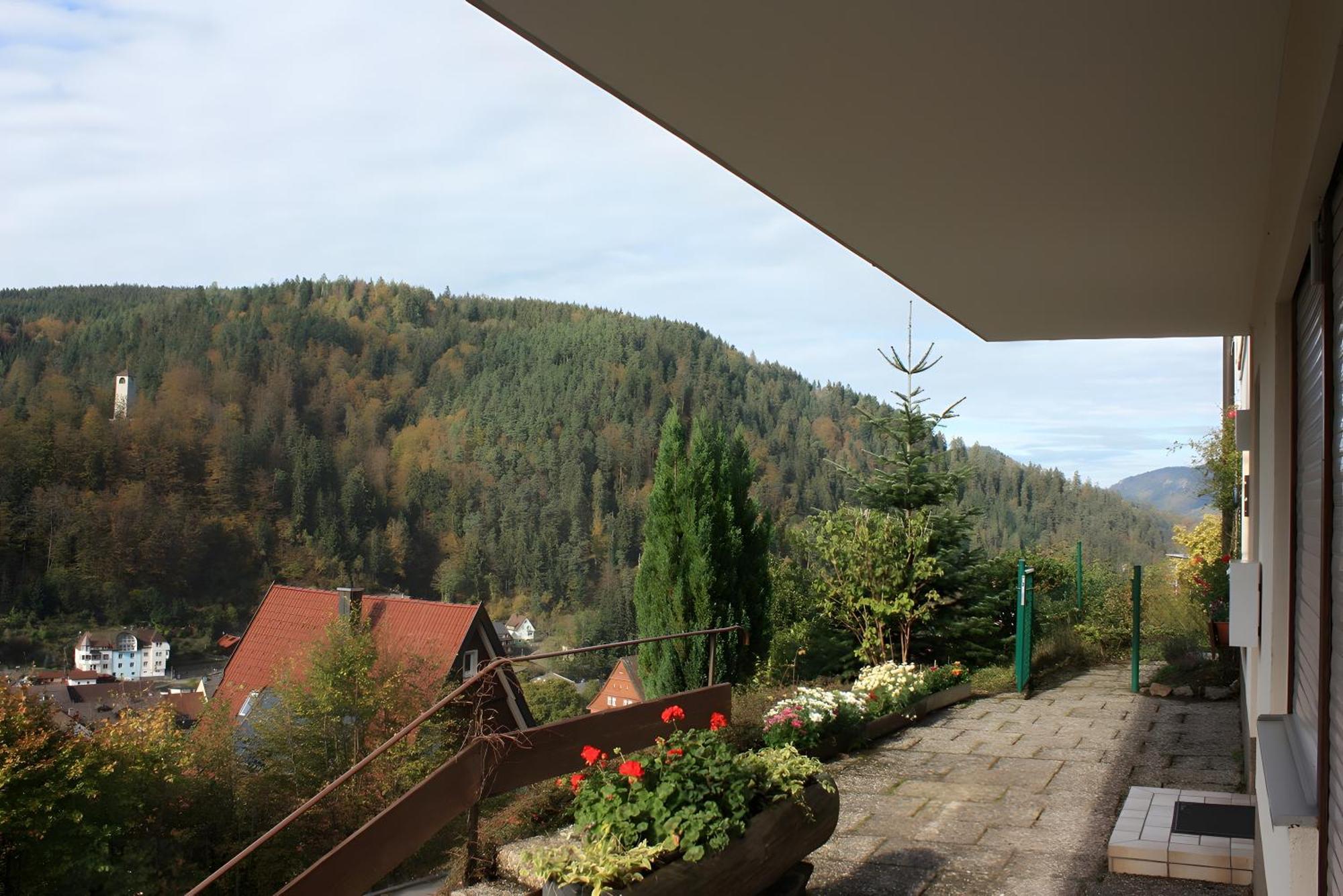 Ferienwohnung Mit Ca 60Qm Triberg im Schwarzwald ภายนอก รูปภาพ