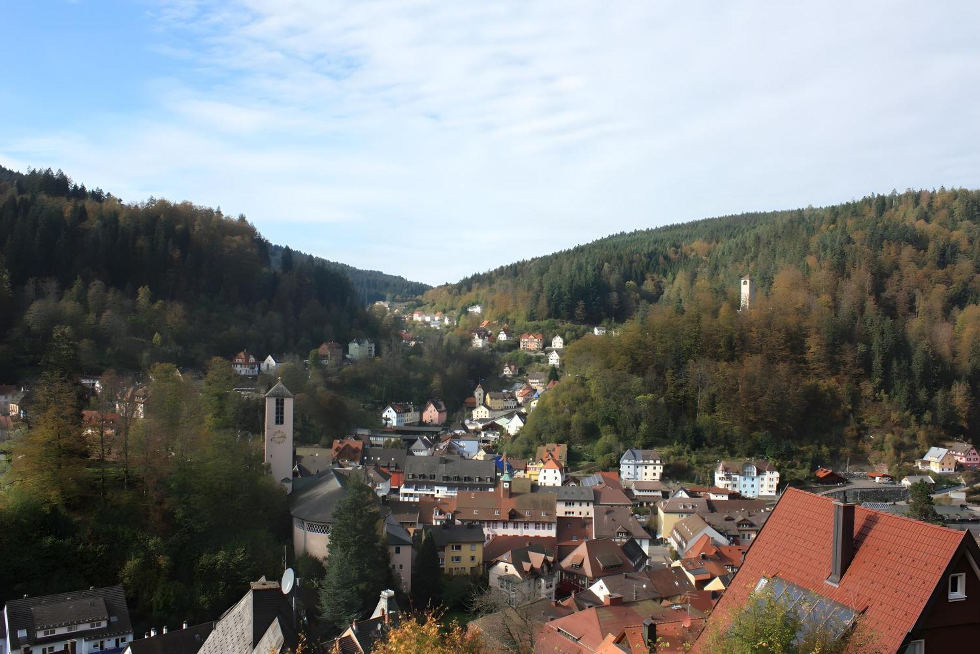 Ferienwohnung Mit Ca 60Qm Triberg im Schwarzwald ภายนอก รูปภาพ