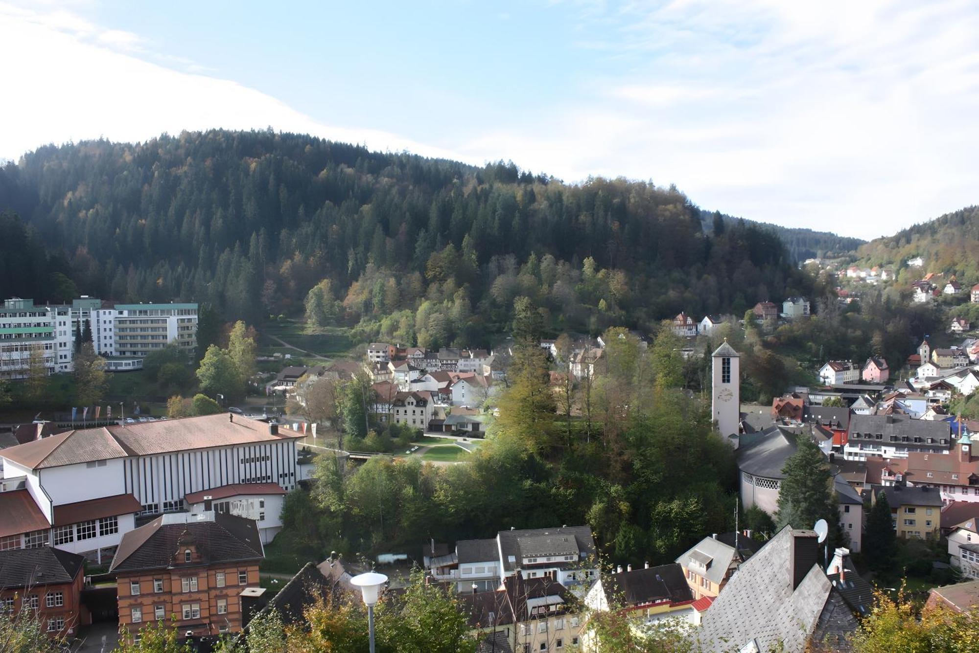 Ferienwohnung Mit Ca 60Qm Triberg im Schwarzwald ภายนอก รูปภาพ
