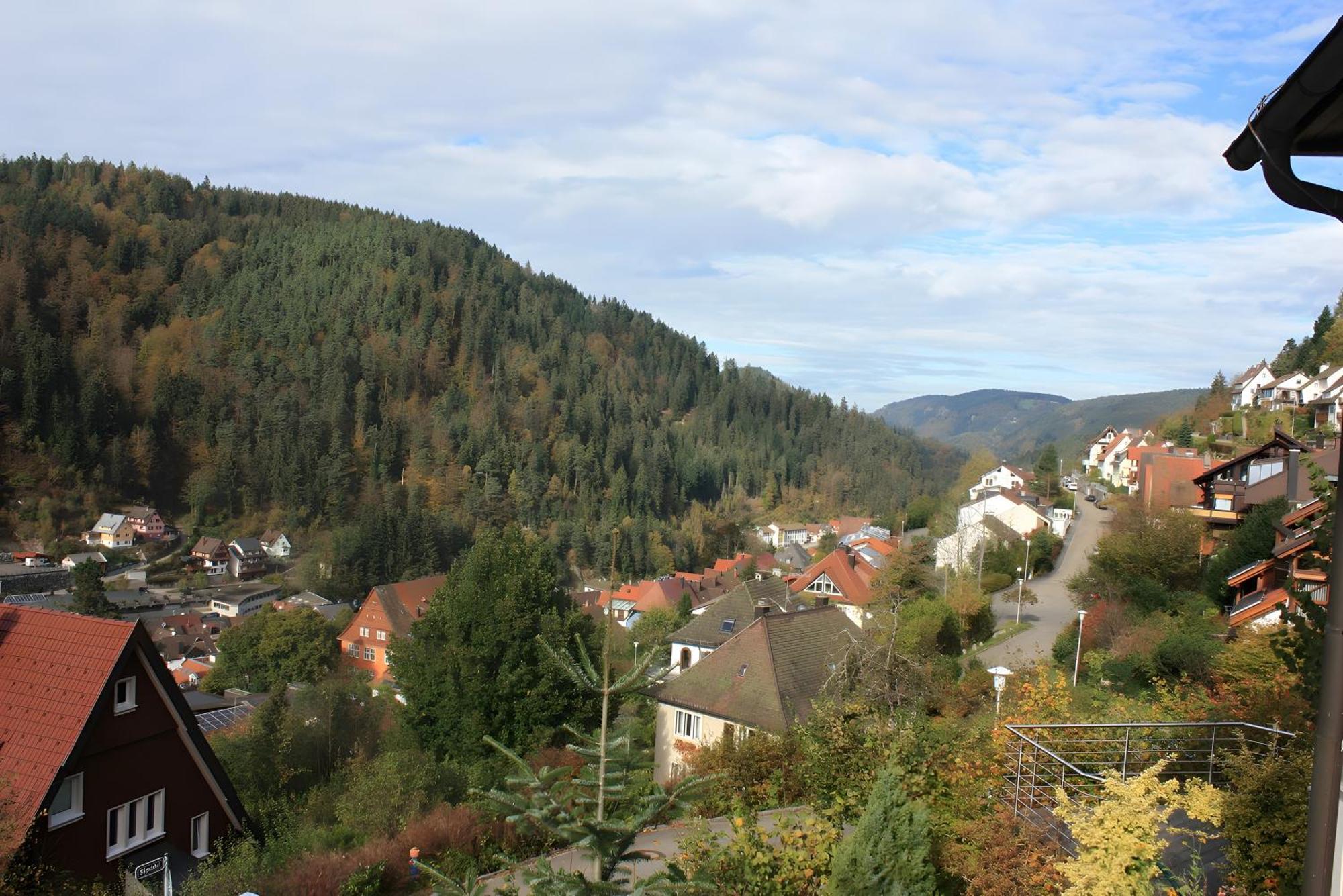 Ferienwohnung Mit Ca 60Qm Triberg im Schwarzwald ภายนอก รูปภาพ